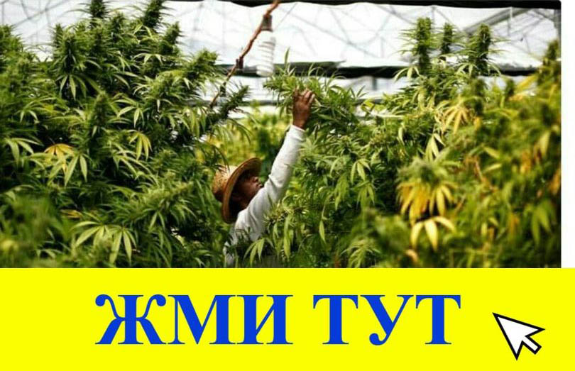 Купить наркотики в Михайловске